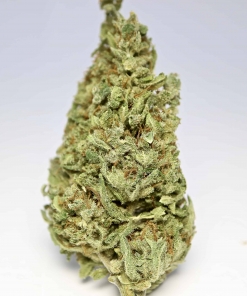 Sour Tsunami #7 CBD Buy Weed Online Sour Tsunami #7 CBD Buy Weed Online
