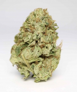 BC Kush Best Sellers Buy Weed Online BC Kush Best Sellers Buy Weed Online