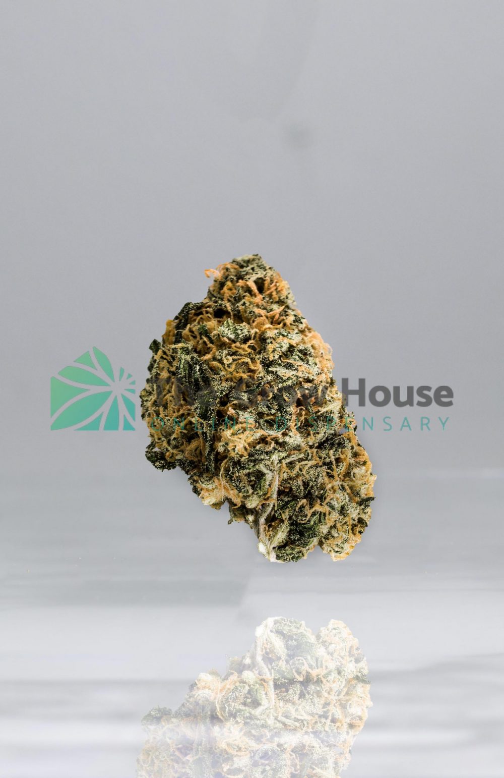 Big Buddah Cheese Hybrid Buy Weed Online Big Buddah Cheese Hybrid Buy Weed Online