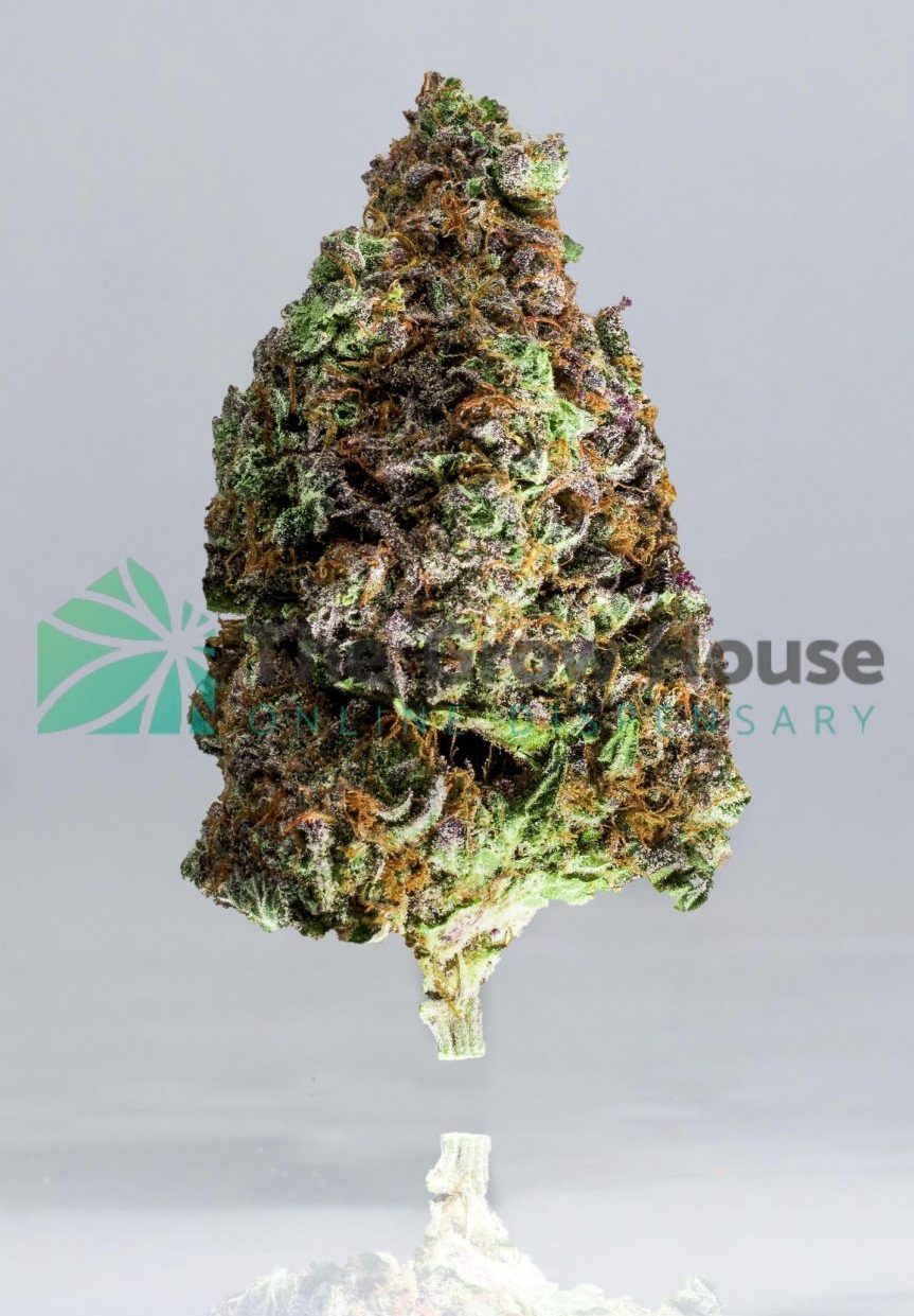 Banana Punch Premium Collection Buy Weed Online Banana Punch Premium Collection Buy Weed Online