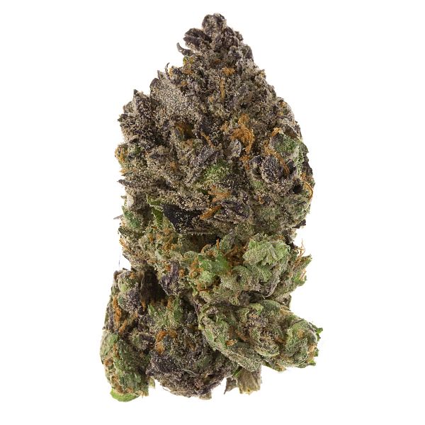 AAAAA Black African Magic Hybrid Buy Weed Online AAAAA Black African Magic Hybrid Buy Weed Online