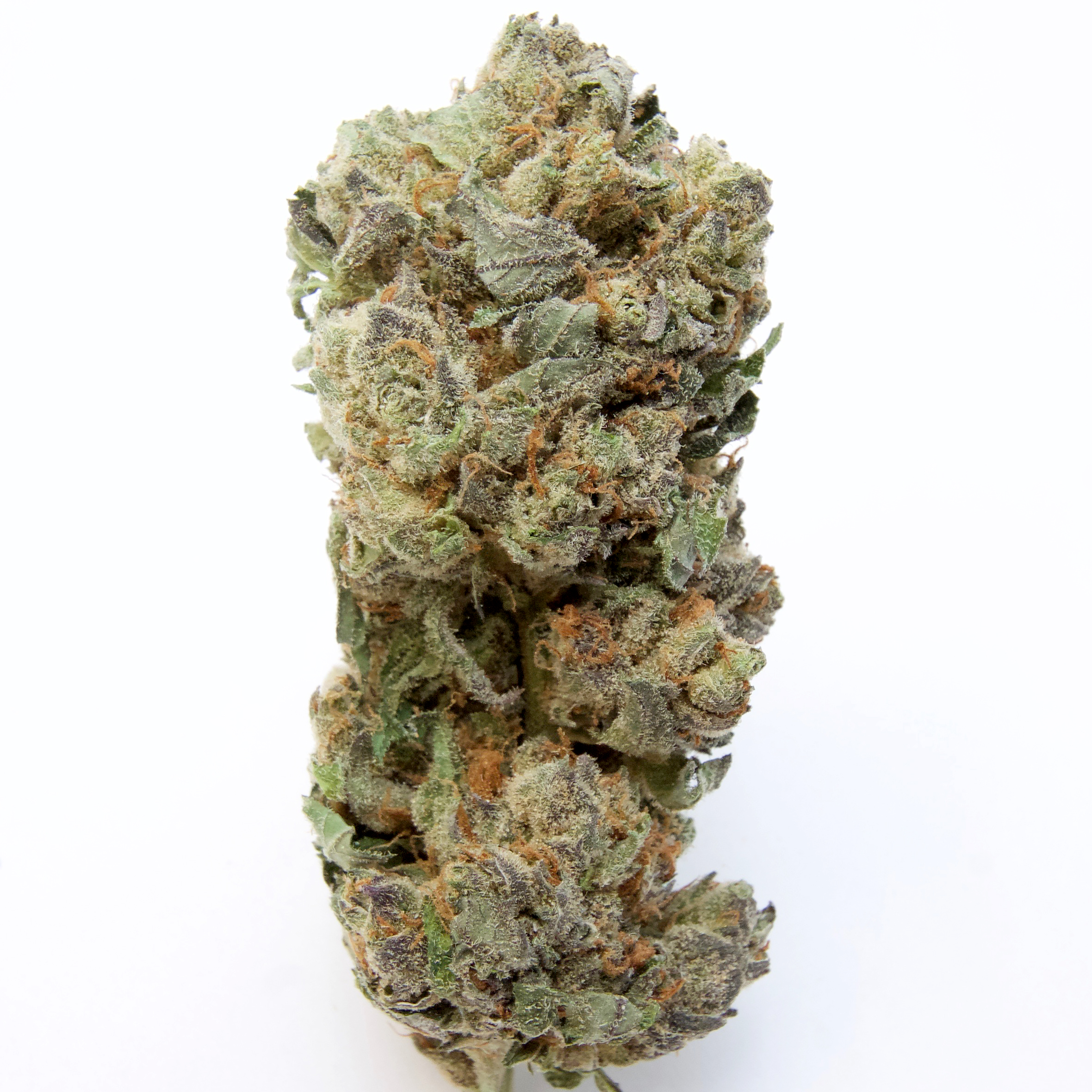 Blue Saph Hybrid Buy Weed Online Blue Saph Hybrid Buy Weed Online