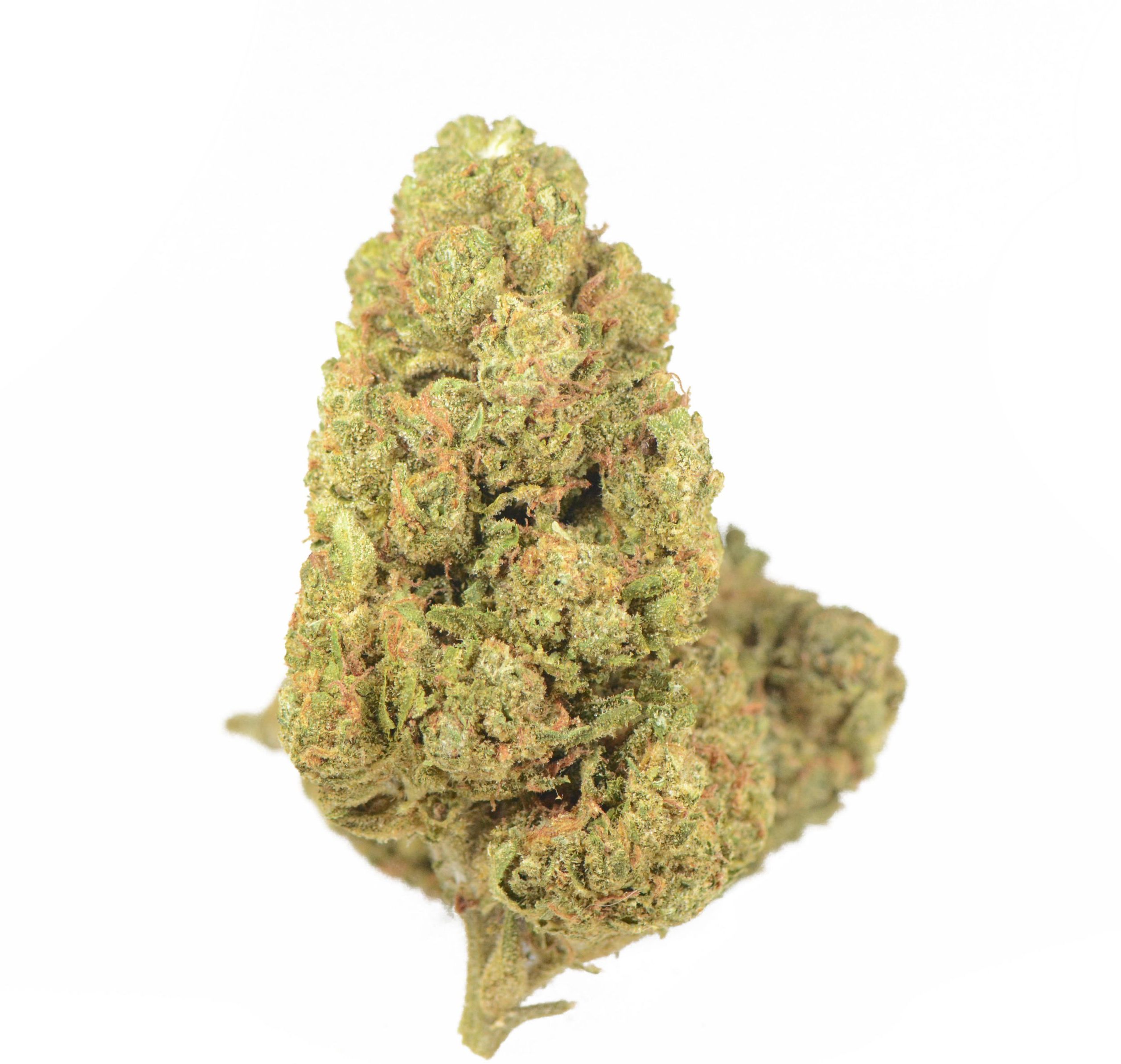Pink Panties Hybrid Buy Weed Online Pink Panties Hybrid Buy Weed Online