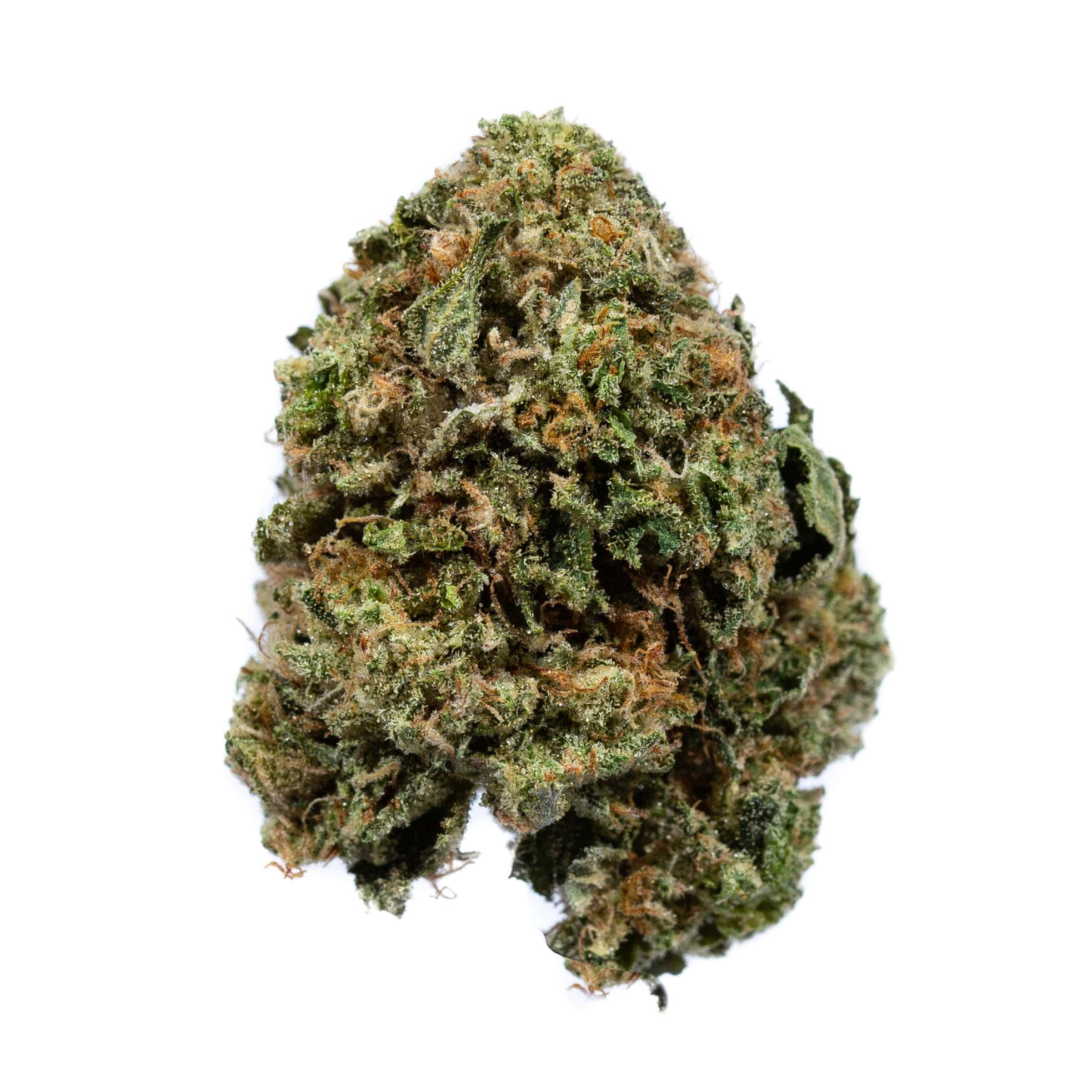 Rocket Fuel Budget Buds Buy Weed Online Rocket Fuel Budget Buds Buy Weed Online