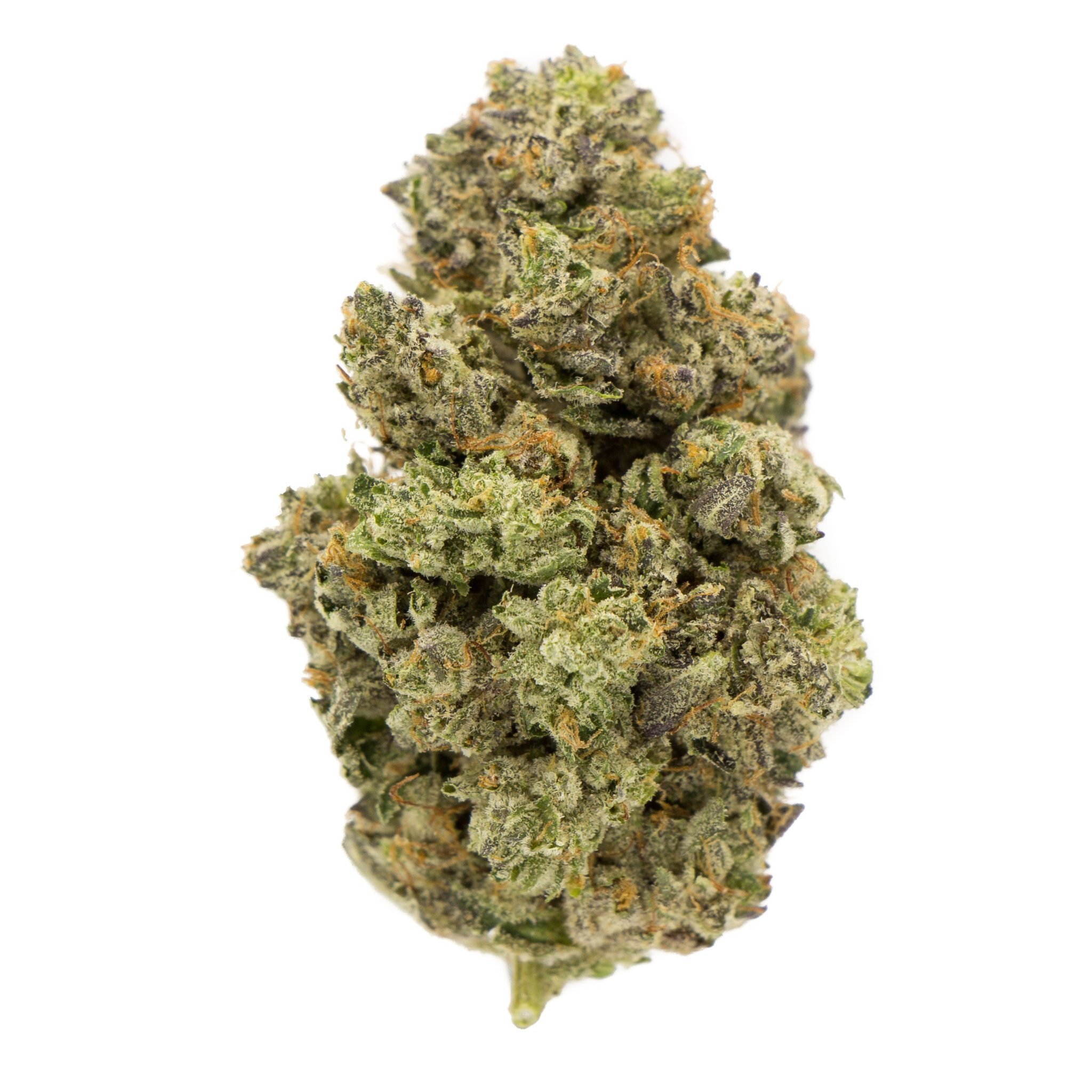 Pure Kush Budget Buds Buy Weed Online Pure Kush Budget Buds Buy Weed Online