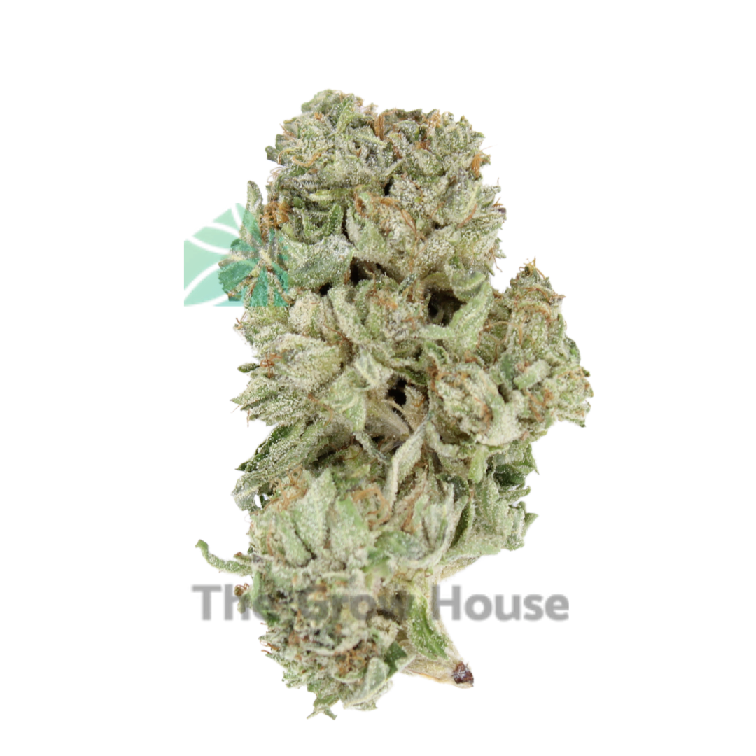 AA+ G-13 Budget Buds Buy Weed Online AA+ G-13 Budget Buds Buy Weed Online