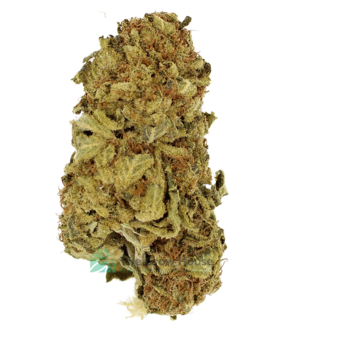 3 Ounce Deal (A) Lemon Kush Budget Buds Buy Weed Online 3 Ounce Deal (A) Lemon Kush Budget Buds Buy Weed Online