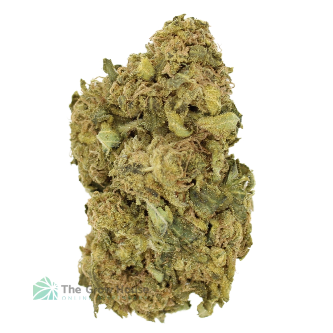 (A) Purple Kush Budget Buds Buy Weed Online (A) Purple Kush Budget Buds Buy Weed Online