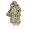 3 Ounce Deal: (A) Seaweed Budget Buds Buy Weed Online 3 Ounce Deal: (A) Seaweed Budget Buds Buy Weed Online