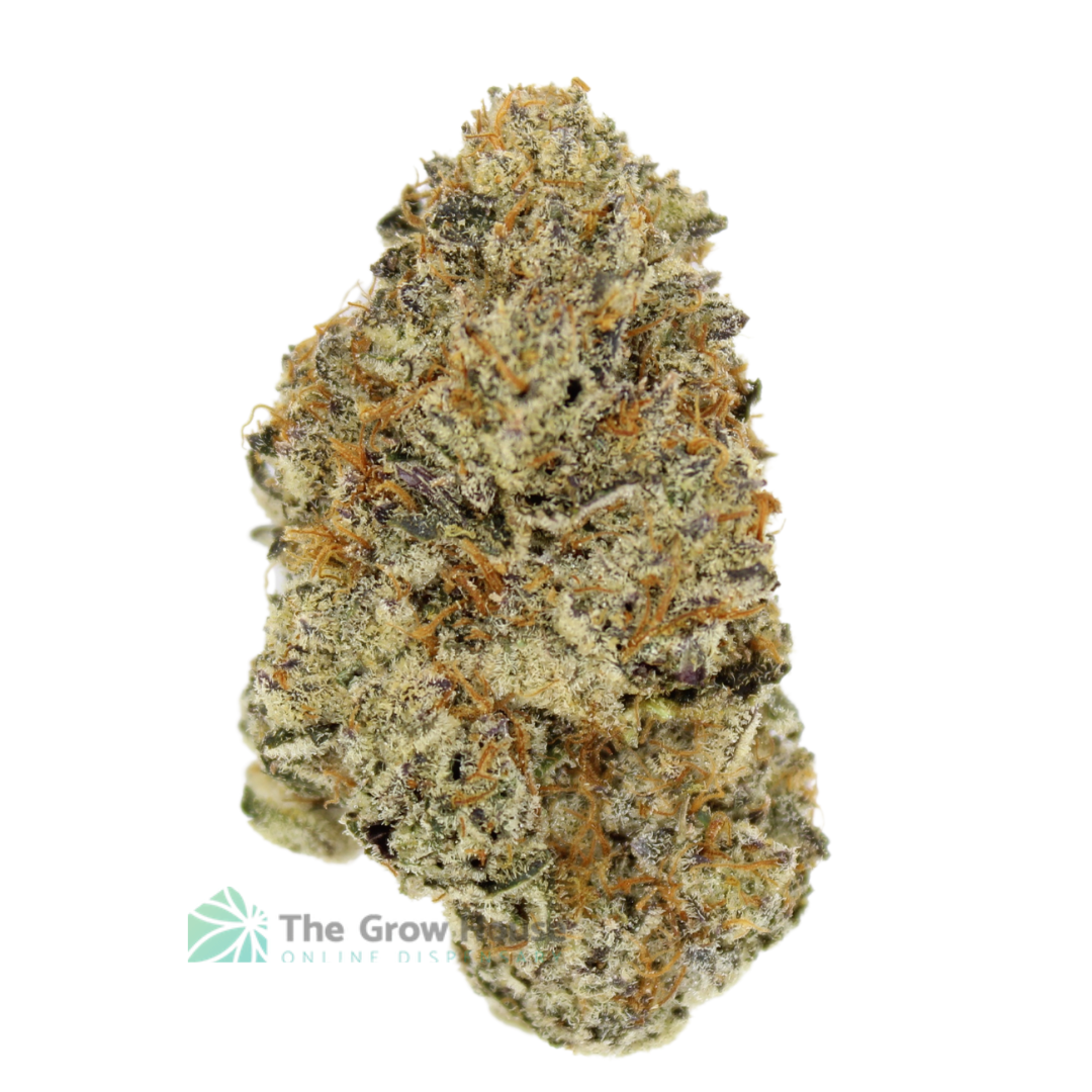 AAAA Blueberry By Kelowna Craft Best Sellers Buy Weed Online AAAA Blueberry By Kelowna Craft Best Sellers Buy Weed Online