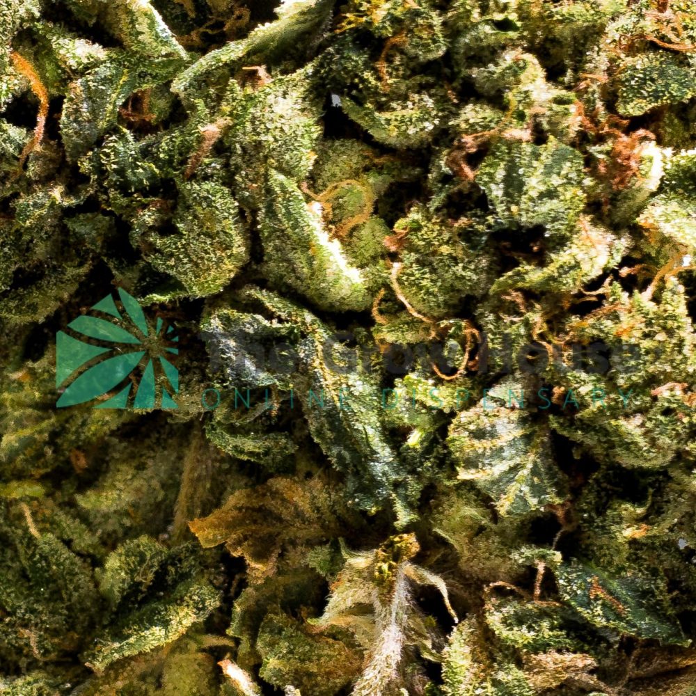 Comatose Og Budget Buds Buy Weed Online Comatose Og Budget Buds Buy Weed Online
