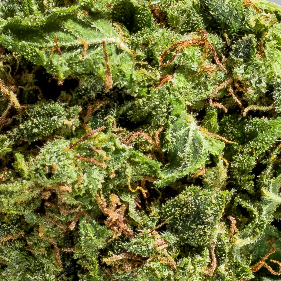 Pink bubba Budget Buds Buy Weed Online Pink bubba Budget Buds Buy Weed Online
