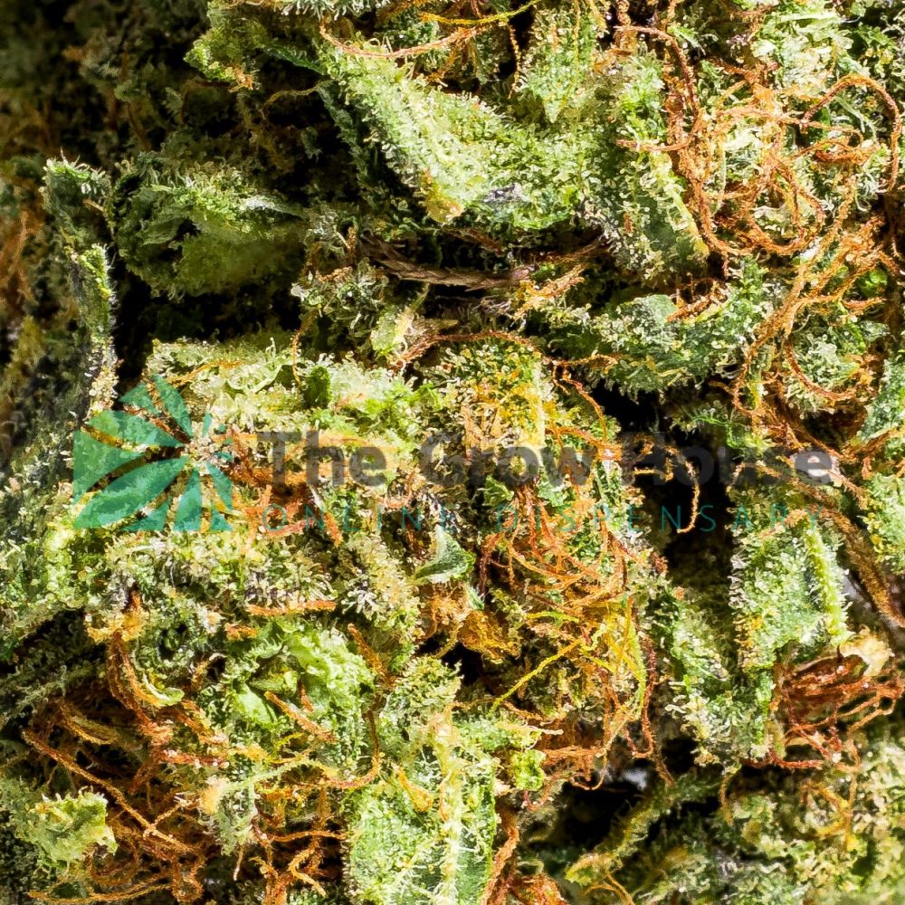 Blue Cookies Indica Buy Weed Online Blue Cookies Indica Buy Weed Online