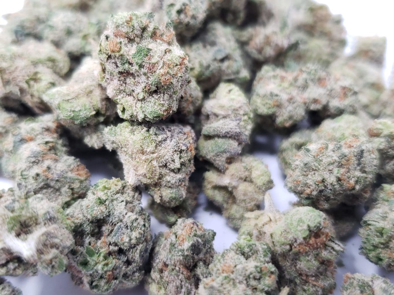 Divine Banana Smalls Budget Buds Buy Weed Online Divine Banana Smalls Budget Buds Buy Weed Online