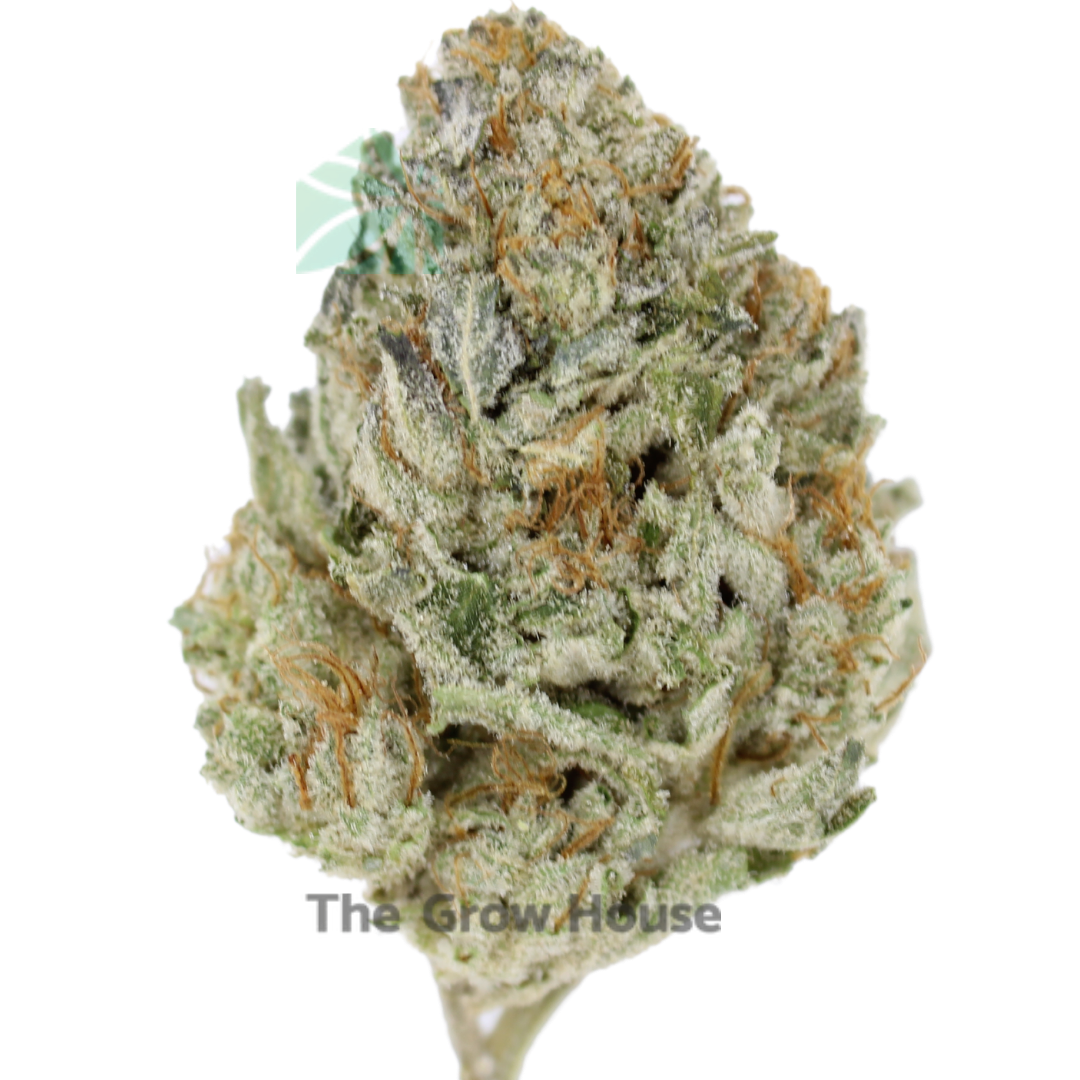 Fire Stomper Budget Buds Buy Weed Online Fire Stomper Budget Buds Buy Weed Online
