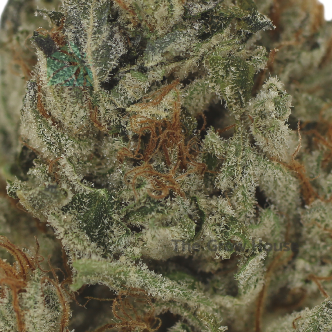Fire Stomper Budget Buds Buy Weed Online Fire Stomper Budget Buds Buy Weed Online