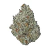 AA+ Blue Dream Budget Buds Buy Weed Online