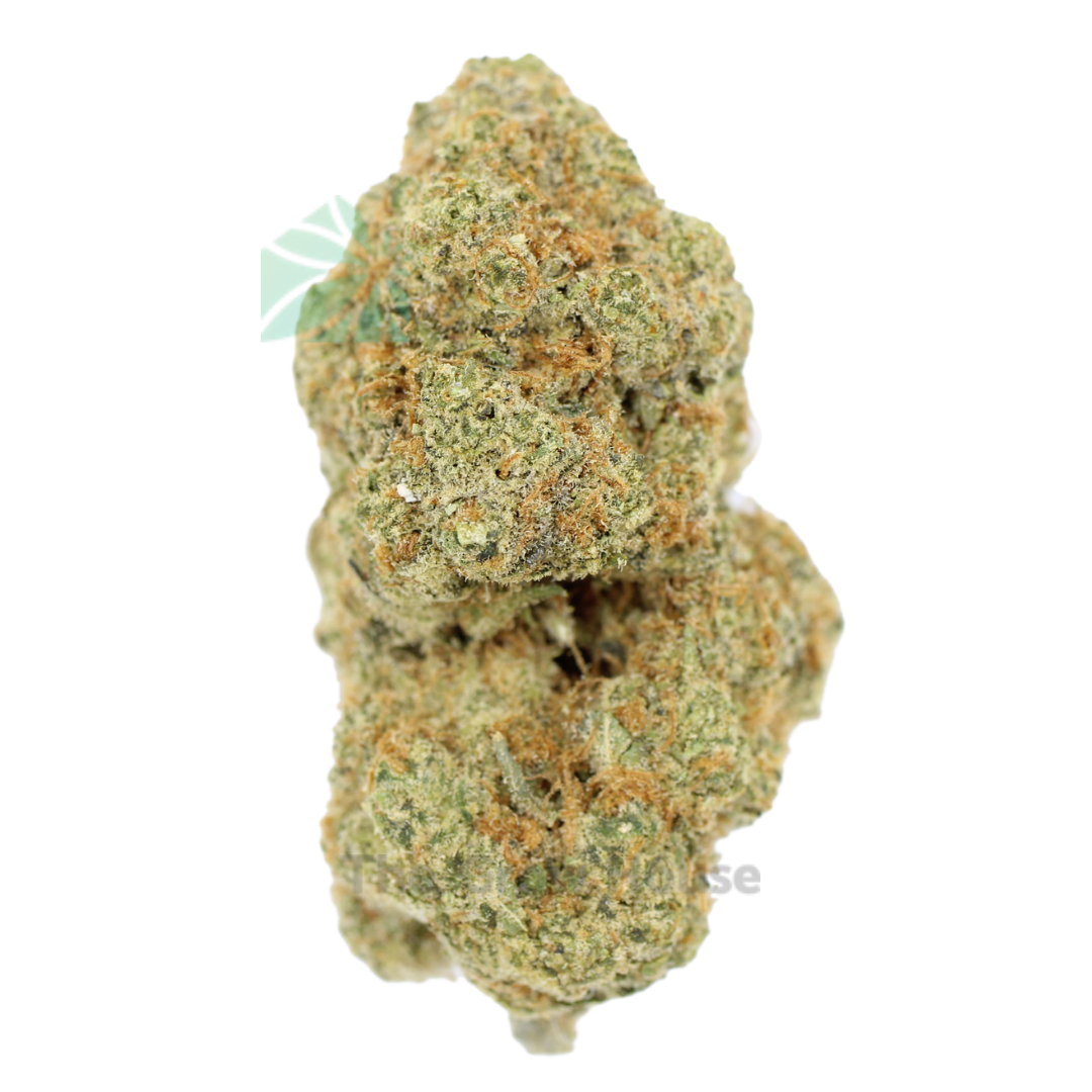 AAAA Orange Push Pop Hybrid Buy Weed Online AAAA Orange Push Pop Hybrid Buy Weed Online
