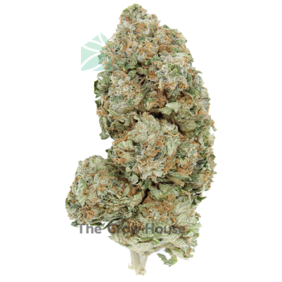 Tuna Budget Buds Buy Weed Online Tuna Budget Buds Buy Weed Online