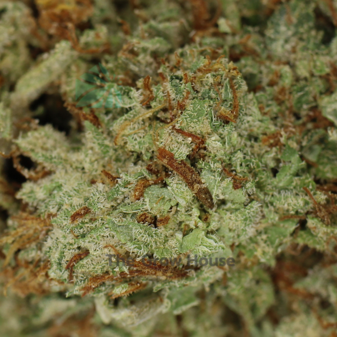 AAAA COOKIES BY COOKIES Best Sellers Buy Weed Online AAAA COOKIES BY COOKIES Best Sellers Buy Weed Online