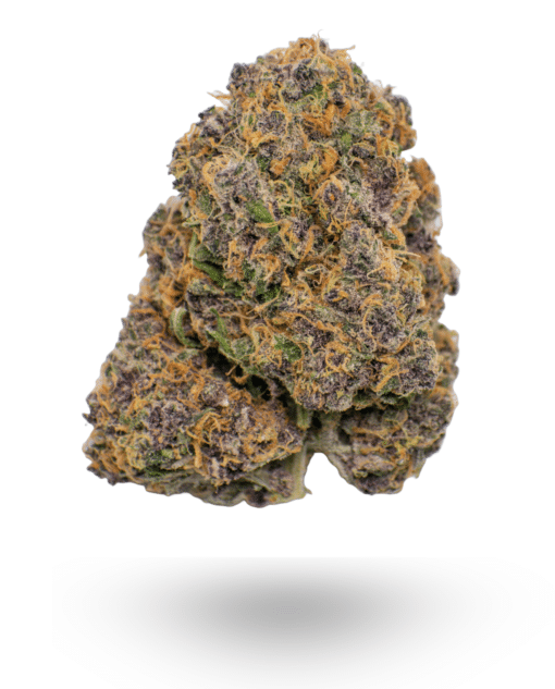 AAAA Jungle Breath By Jungle Boys Flowers Buy Weed Online AAAA Jungle Breath By Jungle Boys Flowers Buy Weed Online