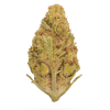 AAA Death Bubba Smalls Budget Buds Buy Weed Online AAA Death Bubba Smalls Budget Buds Buy Weed Online