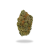 AA Golden Berry Budget Buds Buy Weed Online