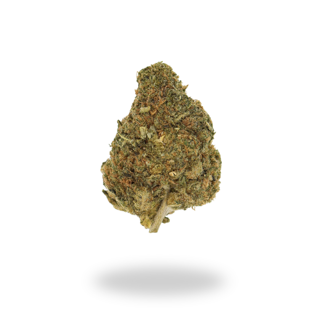 AA Grease Monkey Budget Buds Buy Weed Online AA Grease Monkey Budget Buds Buy Weed Online