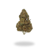 AAAA El Chapo Classic Strains Buy Weed Online AAAA El Chapo Classic Strains Buy Weed Online