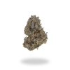 AAA+ Gelato 45 Flowers Buy Weed Online AAA+ Gelato 45 Flowers Buy Weed Online