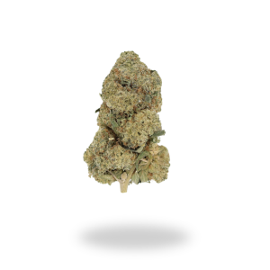 AA+ Zkittles