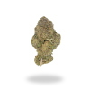 AA Dr. Who Budget Buds Buy Weed Online AA Dr. Who Budget Buds Buy Weed Online
