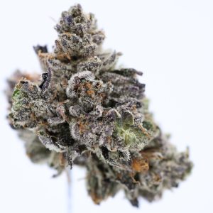 Death-cookies-online