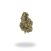 AA White Widow – Ounce Deals + Freebies Flowers Buy Weed Online