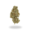 AA 91 Royale Flowers Buy Weed Online