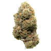 AAAA Purple Medocino Flowers Buy Weed Online